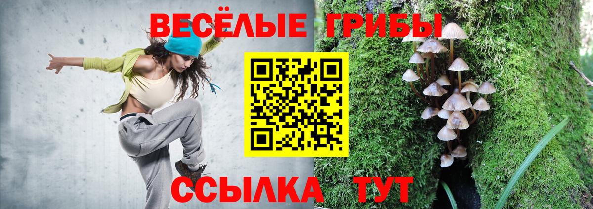 Сертолово  Псилоцибиновые грибы GOLDEN TEACHER  даркнет сайт  Псилоцибиновые грибы Cubensis  Вход с VPN 
